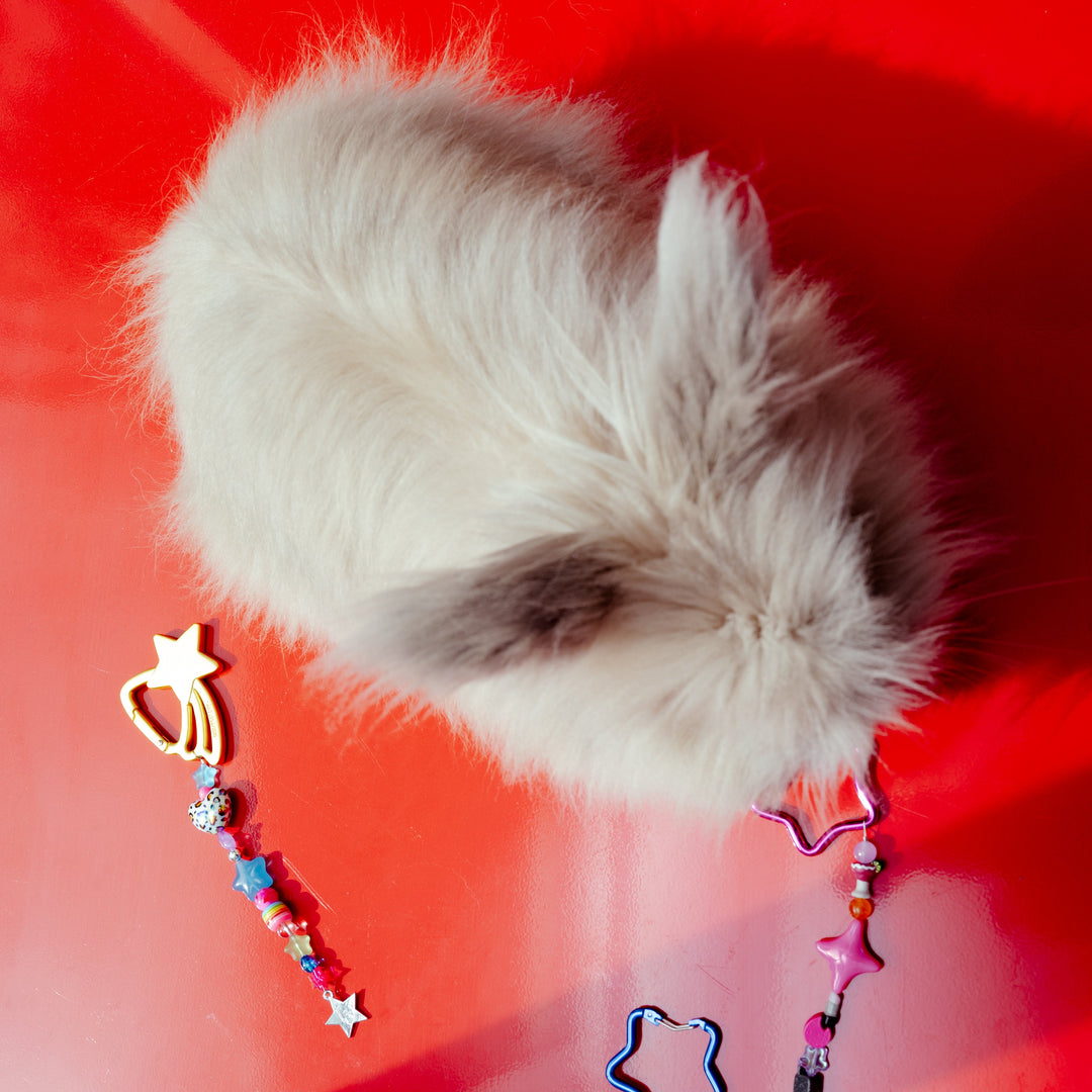 shoot for the stars keychain