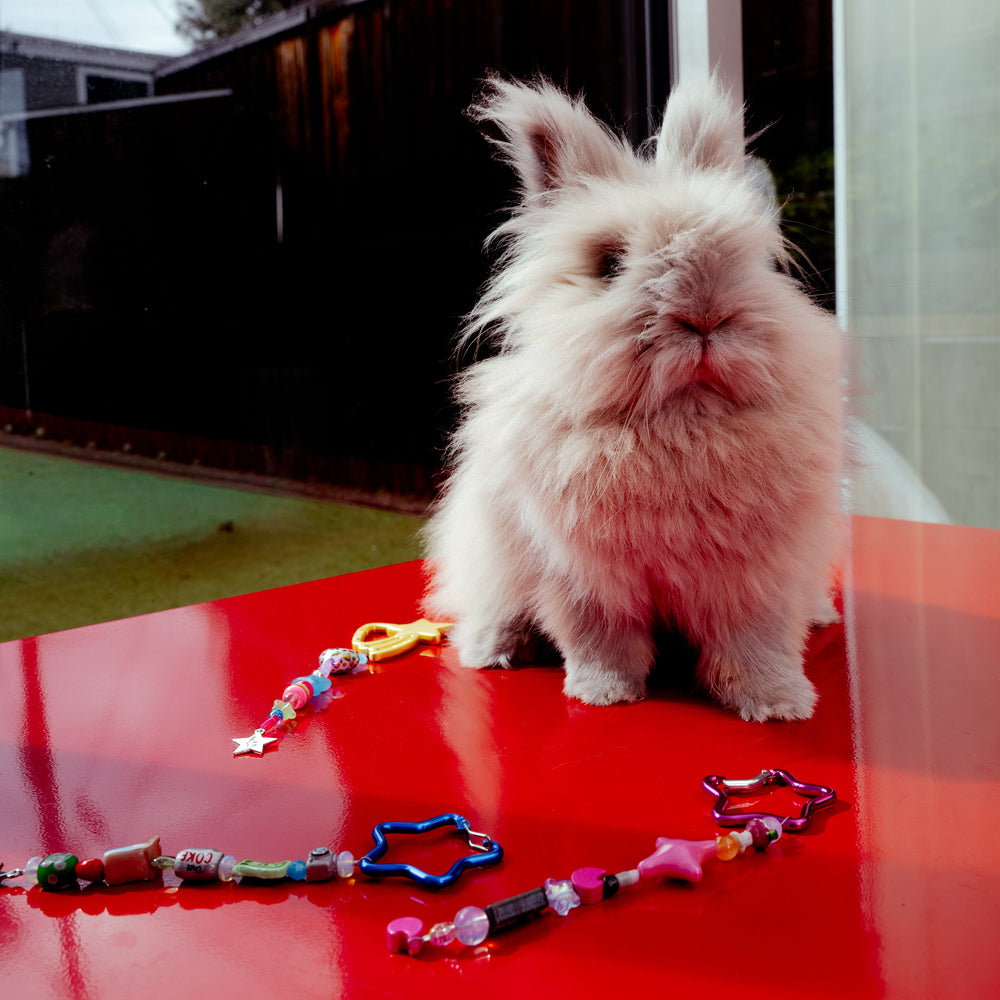 the sleepy homebody keychain