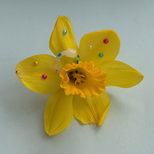 the nostalgia earring set